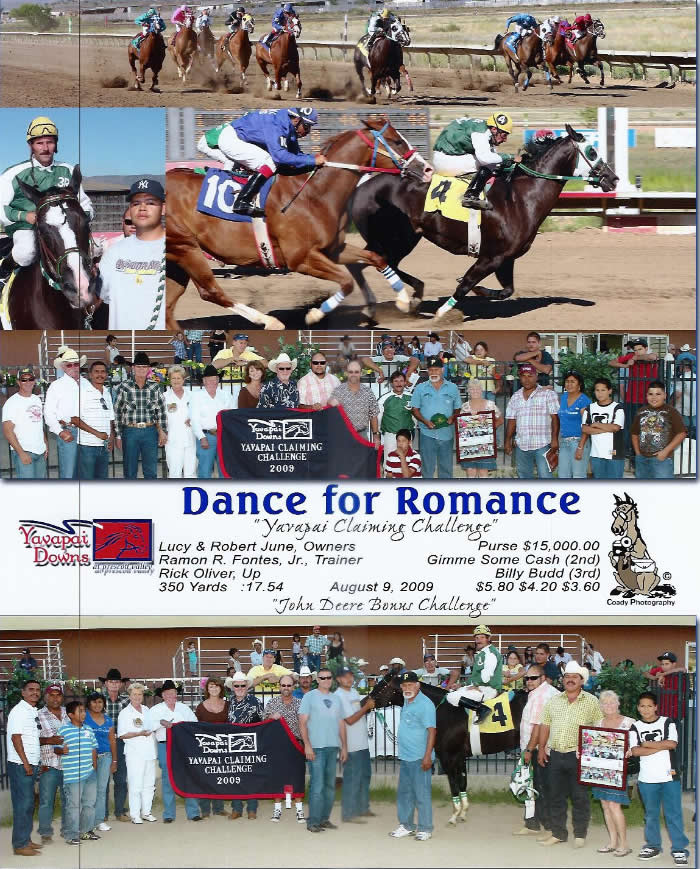 Custom Equine Design