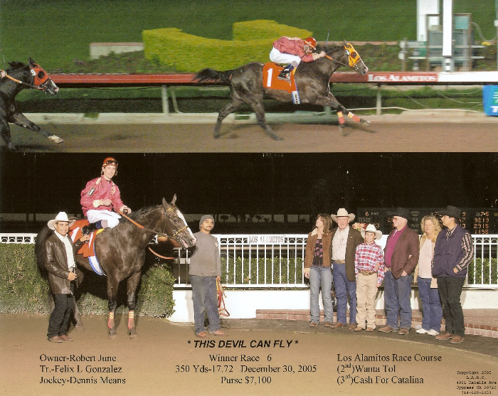 Custom Equine Design