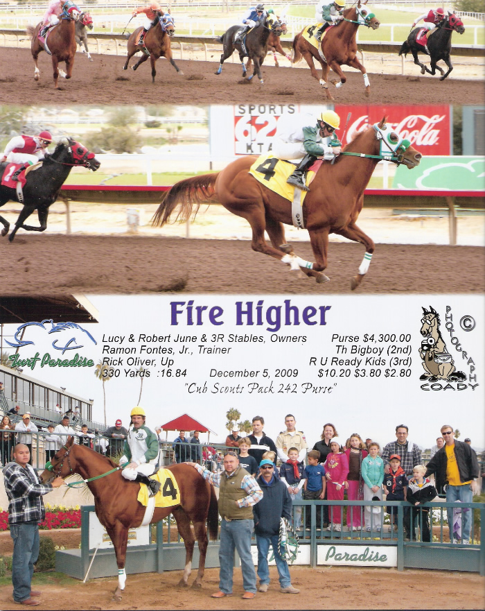 Custom Equine Design