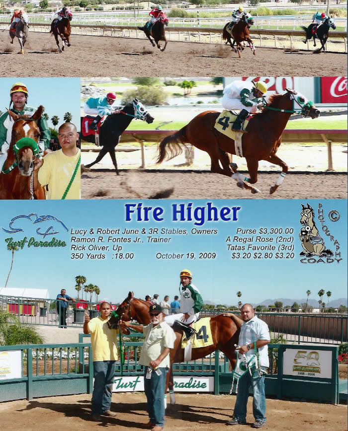 Custom Equine Design