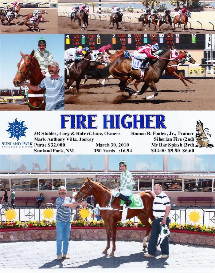 Custom Equine Design