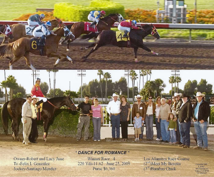 Custom Equine Design